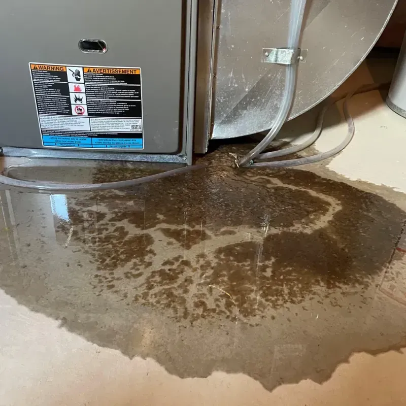 Appliance Leak Cleanup in Scotts Bluff County, NE